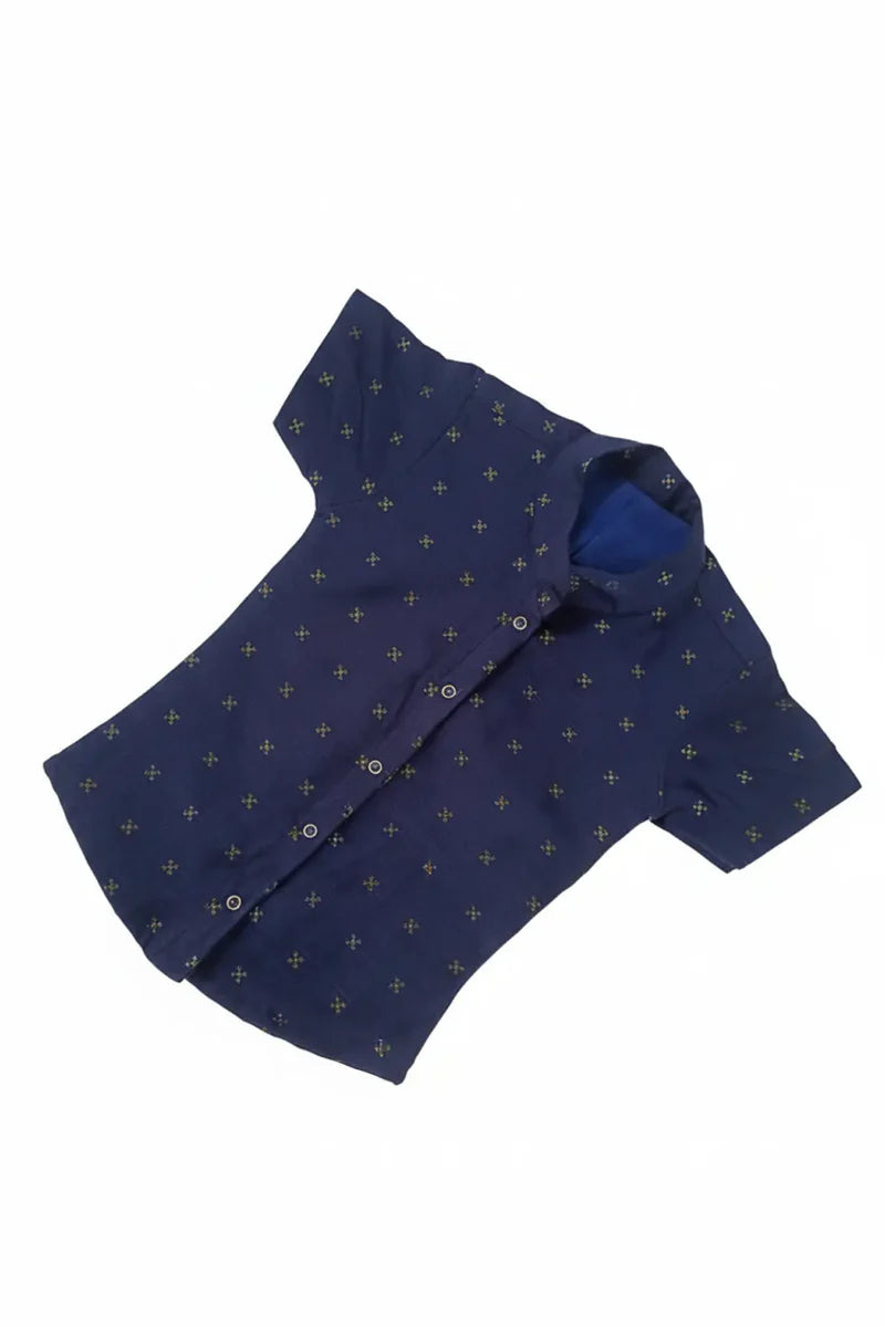 Royal Silk shirt & Pant Set