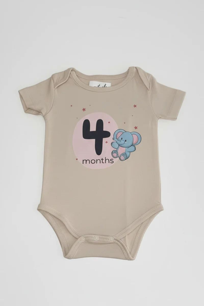 Pack of 12 - Number Parade Milestone Onesies