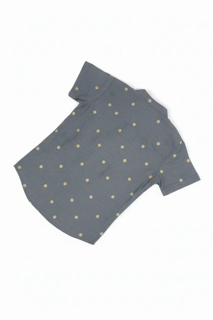 Grey Silk shirt & Pant Set